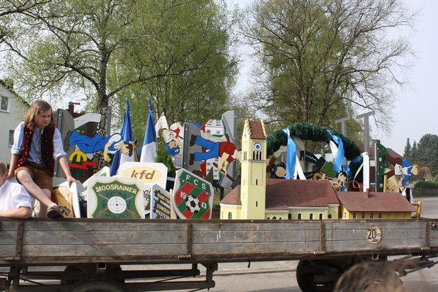 Maibaum 2013